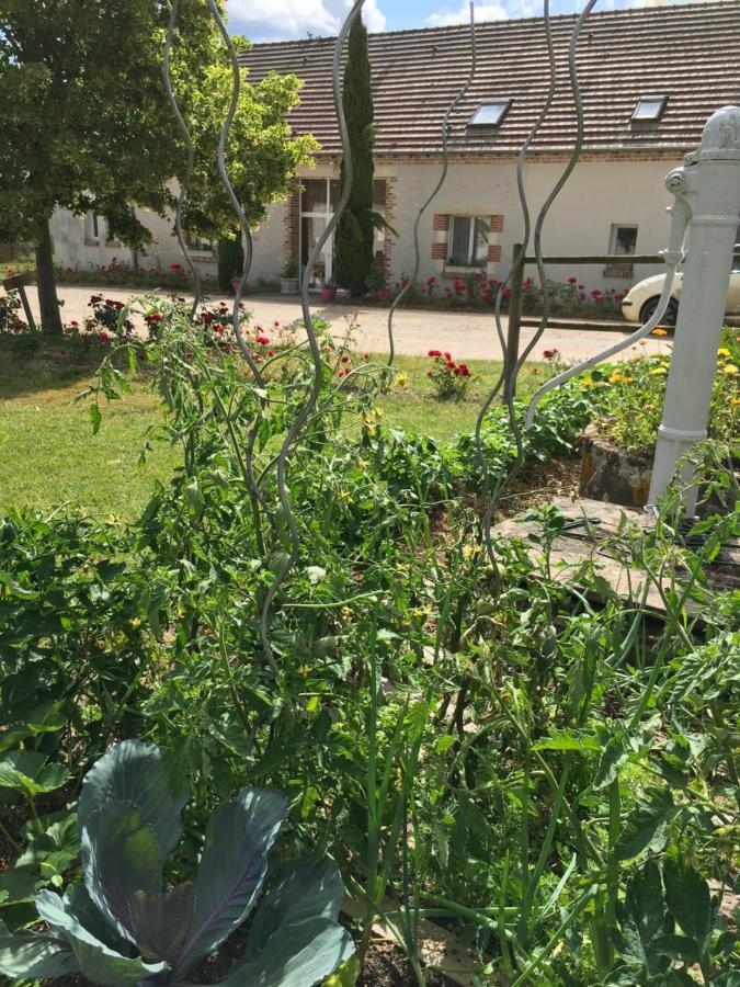 La Ferme De La Maugerie Bed and Breakfast Thoury Εξωτερικό φωτογραφία