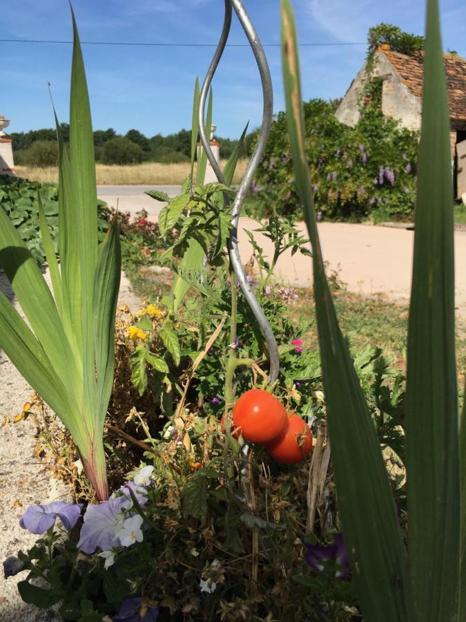 La Ferme De La Maugerie Bed and Breakfast Thoury Εξωτερικό φωτογραφία